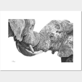 Titanic Embrace African Elephants drawing print Posters and Art